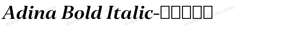 Adina Bold Italic字体转换